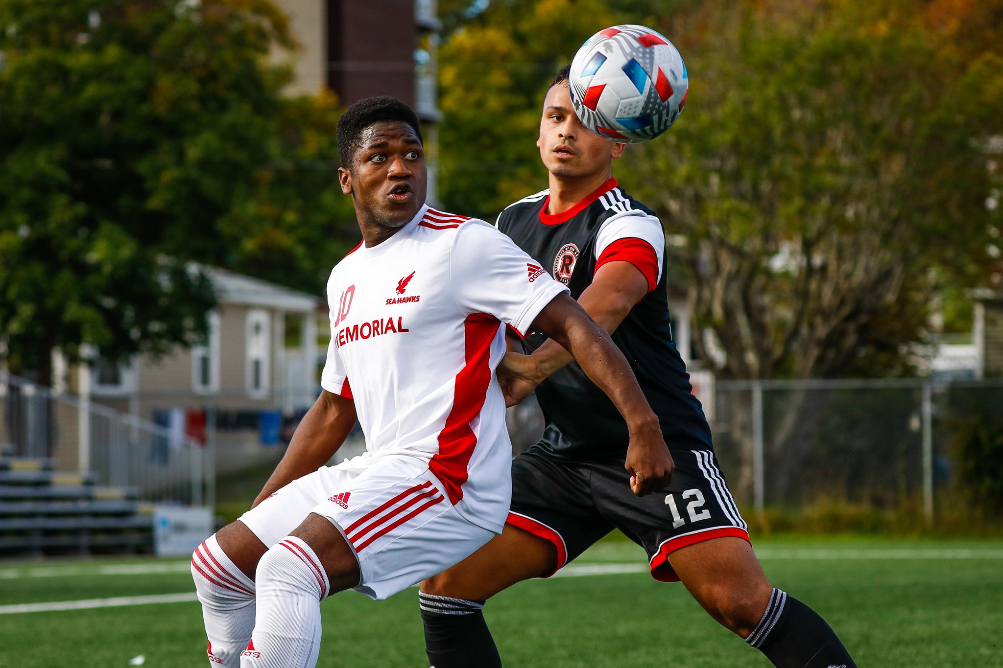 Memorial University Sea~Hawks - Memorial Sea-Hawks host the Moncton ...