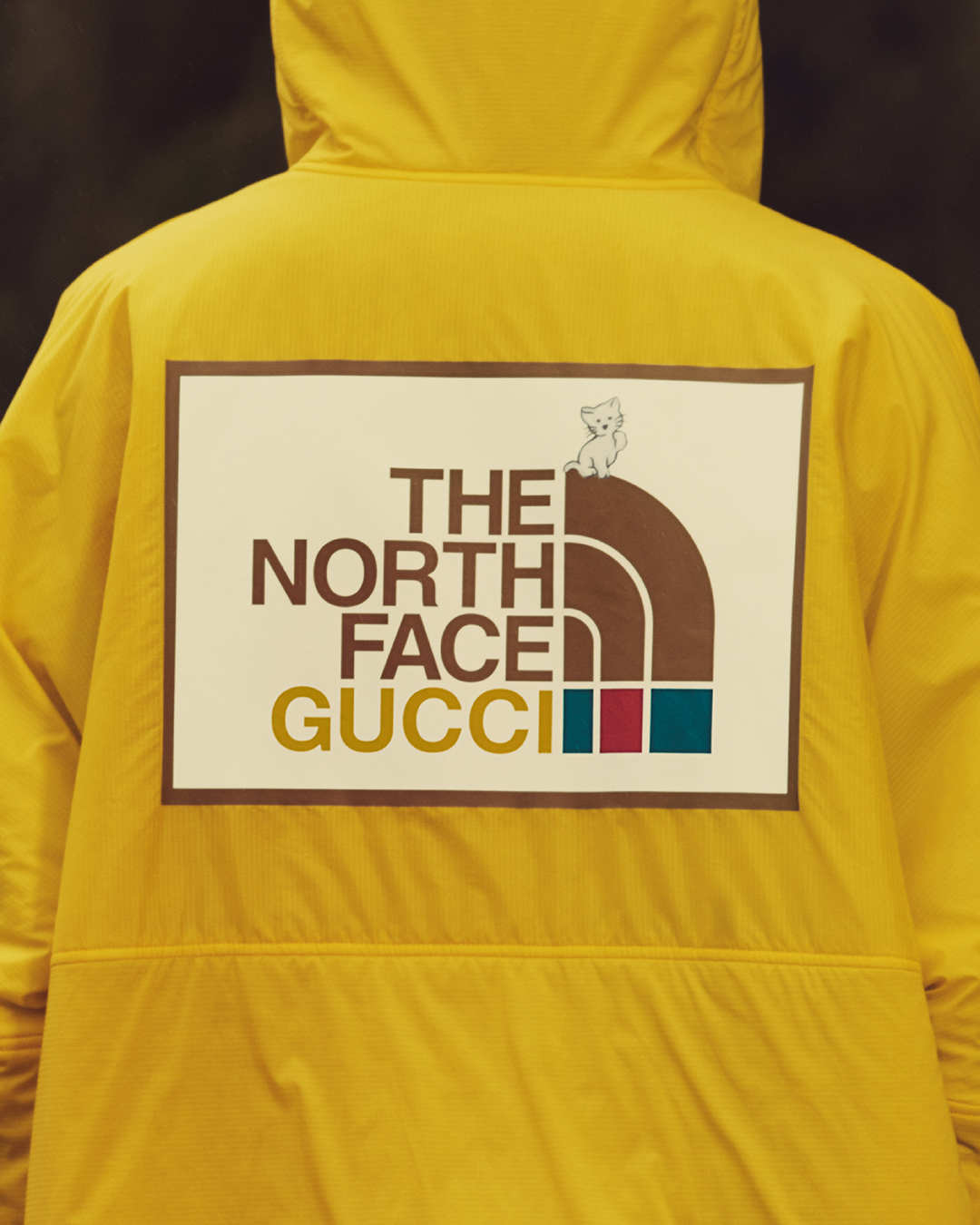 In the new The North Face x Gucci campaign to celebrate the launch