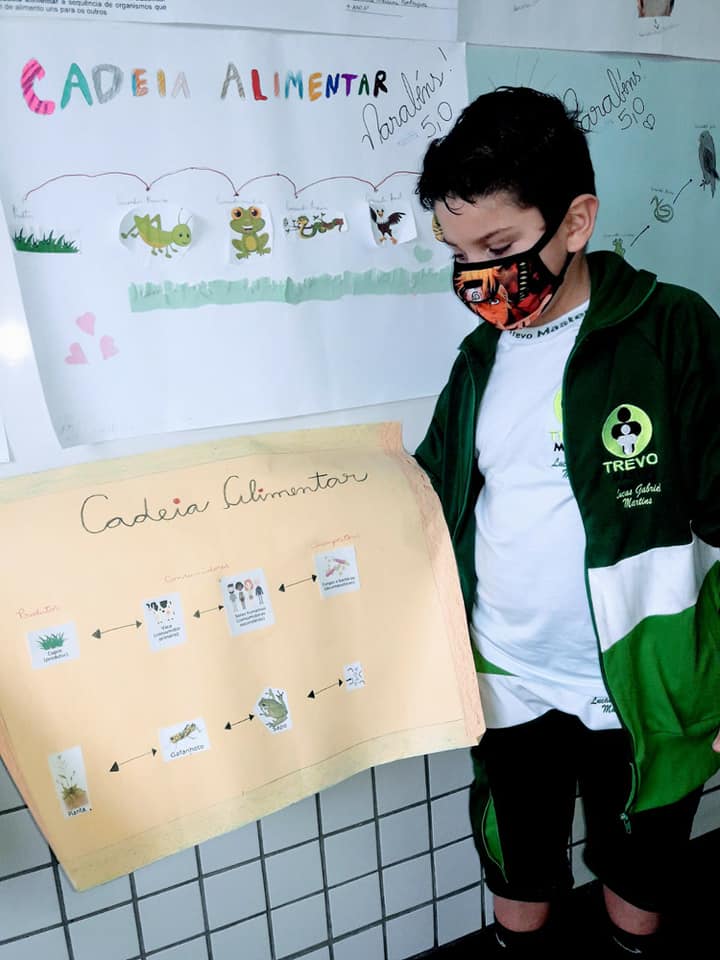 4 ano, em suas... - Grupo Educacional Trevo Master | Facebook