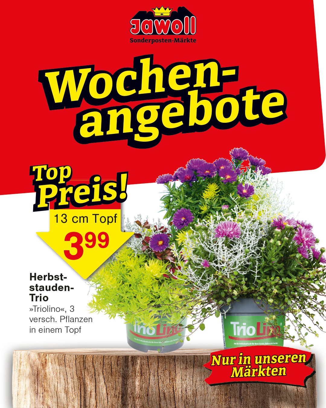 ☀️ Neue Angebote, neue Schnäppchen bei Jawoll! ☀️ Diesen Sommer lohnt sich ein Besuch bei Jawoll besonders: Entdecke viele starke Angebote für Garten, Freizeit und den Alltag. Ob praktische Helfer, s