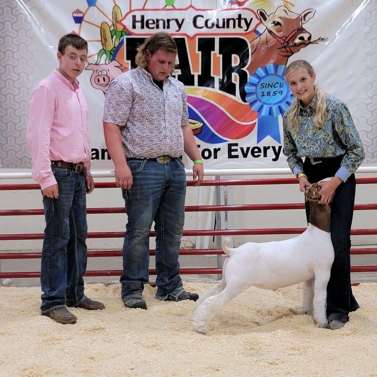Show Barn Genetics | Eminence KY