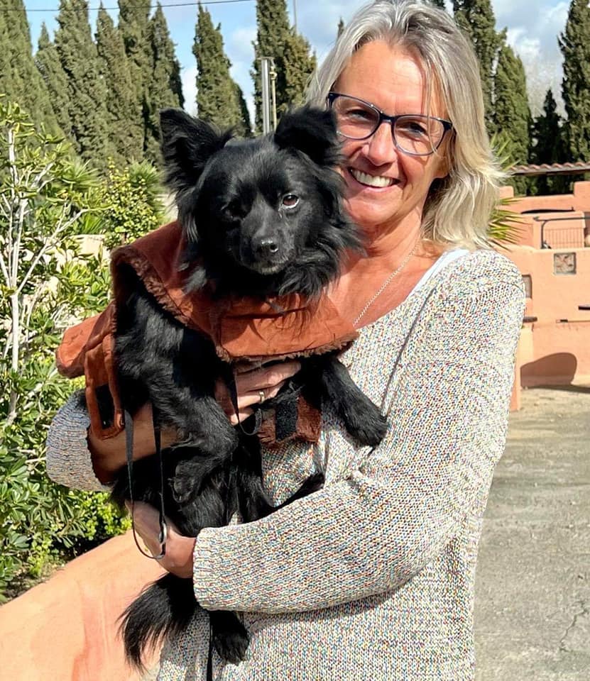 🌞 PRINZ wurde ABGEHOLT 🌞 Die... - Mallorca Tierrettung | Facebook