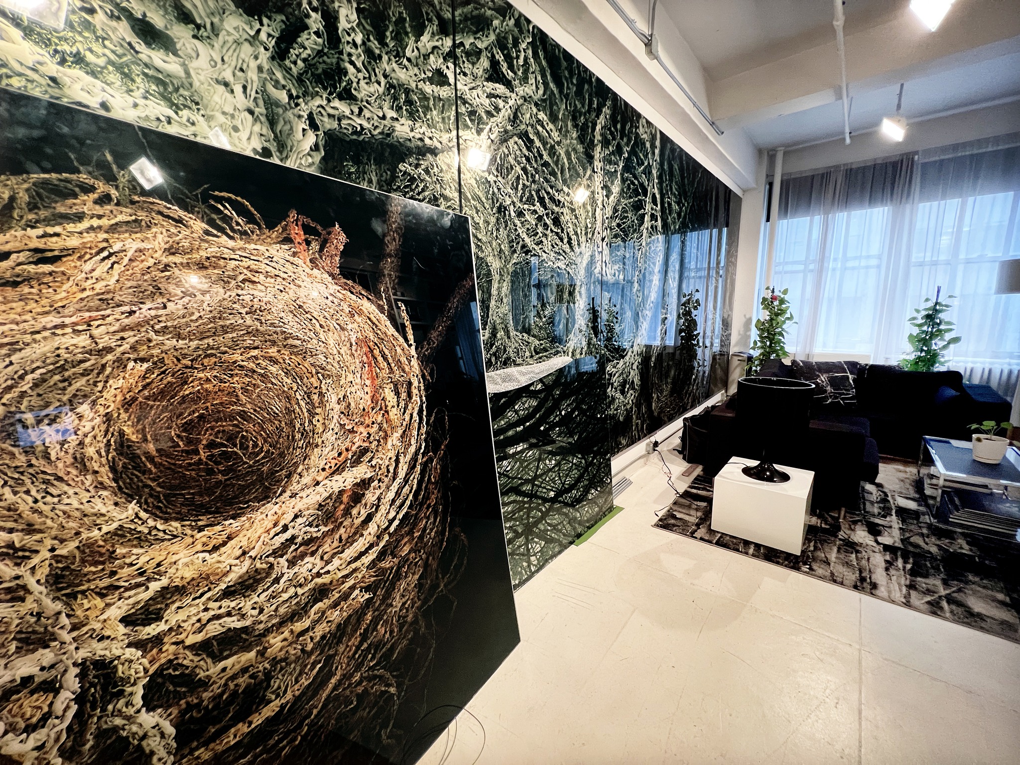 Angelo Musco Studio | New York NY