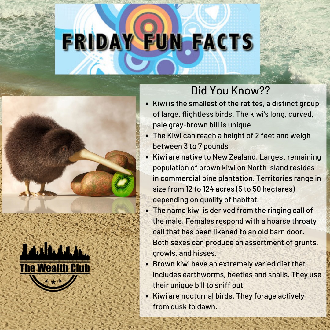 The Wealth Club This Little Fun Fact Friday Animal Is The Kiwi I Know When I Think Of Kiwi I Think Of The Fruit Not The Bird Did You Know