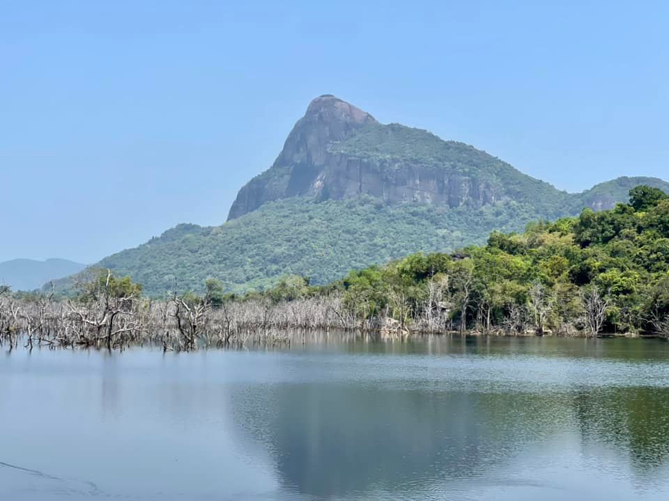 Chamitha Rathnayake