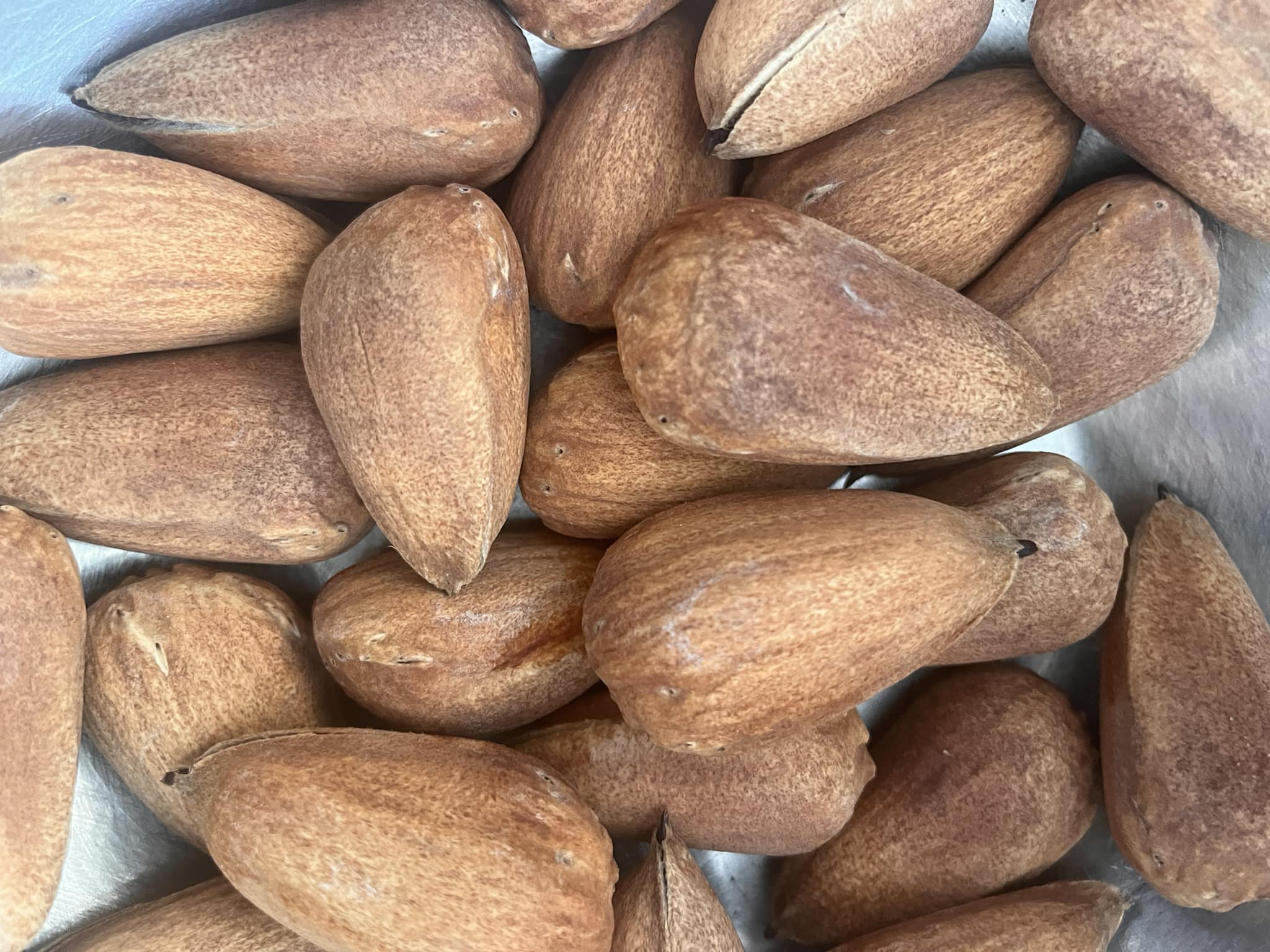 Porn Picture