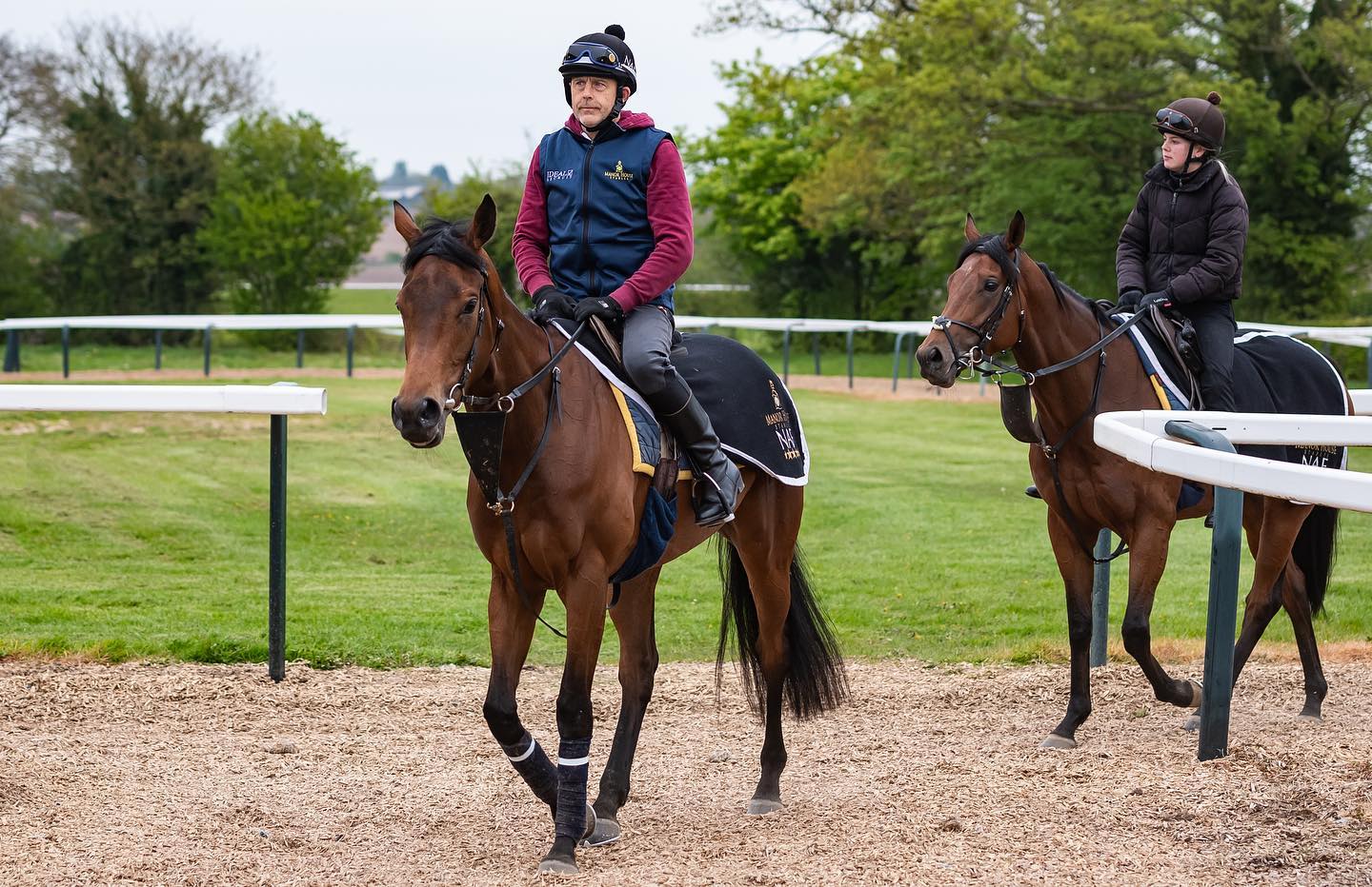ARION (Dubawi x Filia Regina) runs... - Manor House Stables | Facebook