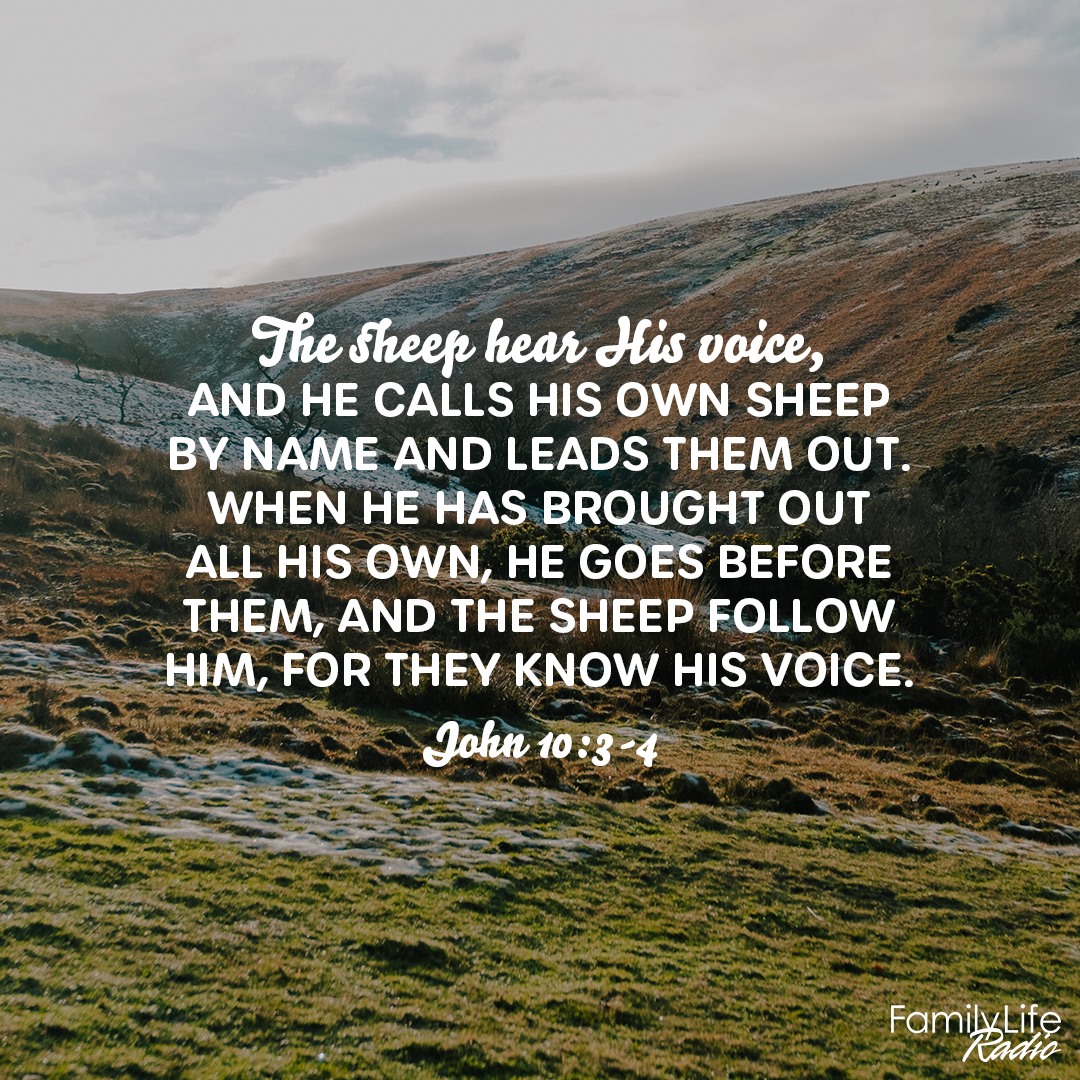 The sheep hear his voice, and he calls... - Family Life Radio | Facebook
