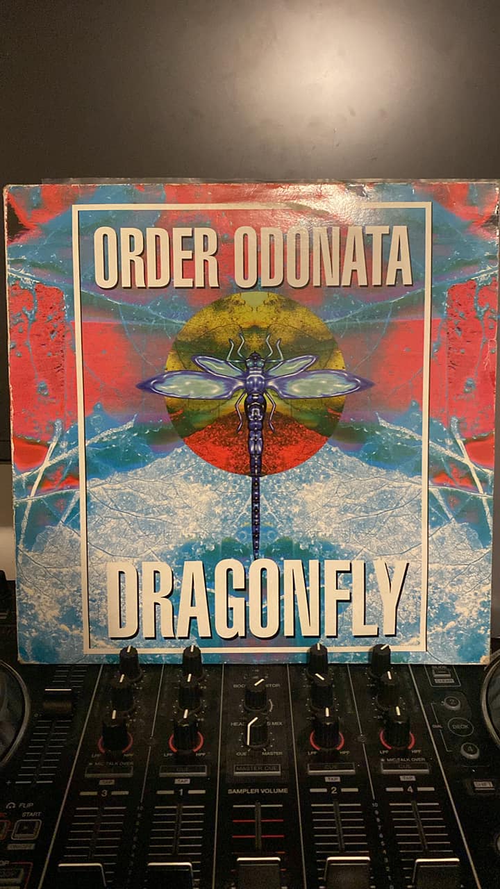 Fly with Dragonfly !!!