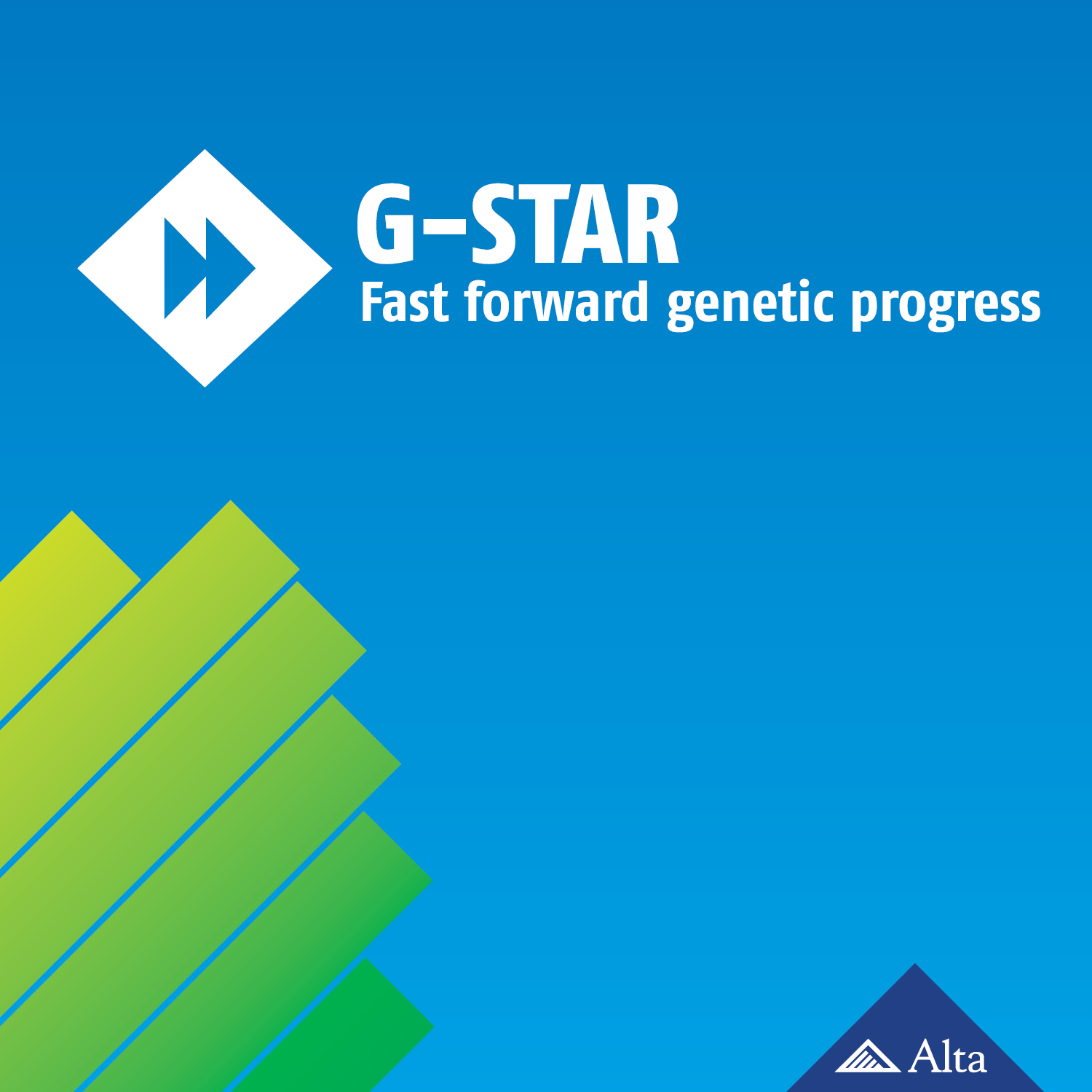 Alta Genetics - Alta G-STARS are chosen specifically to... | Facebook
