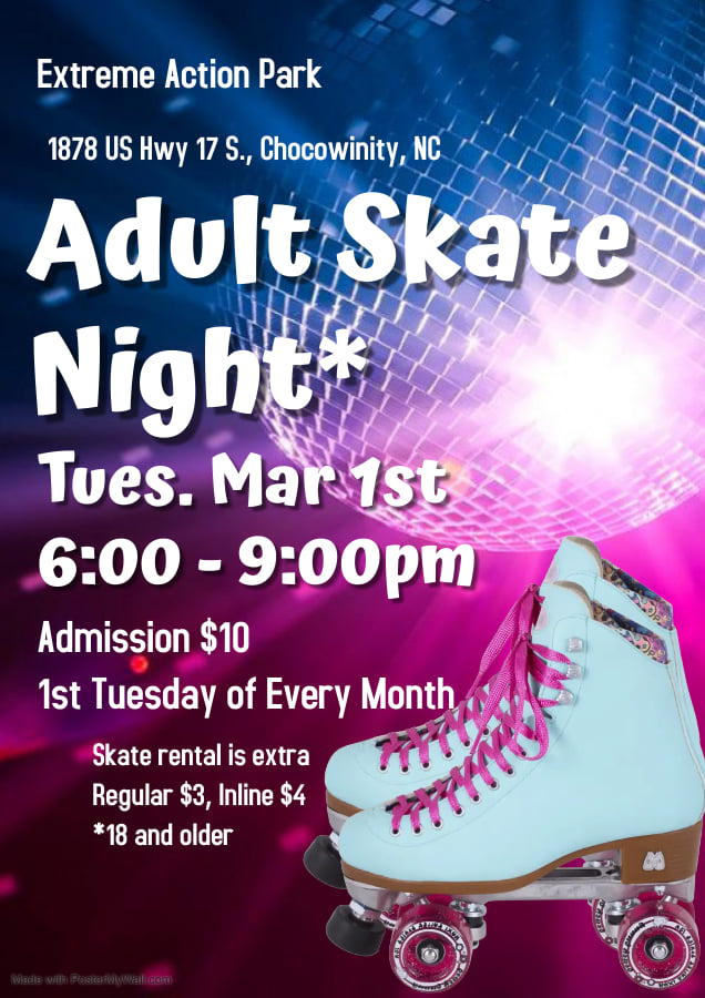 Kalamazoo skating association adult skating night