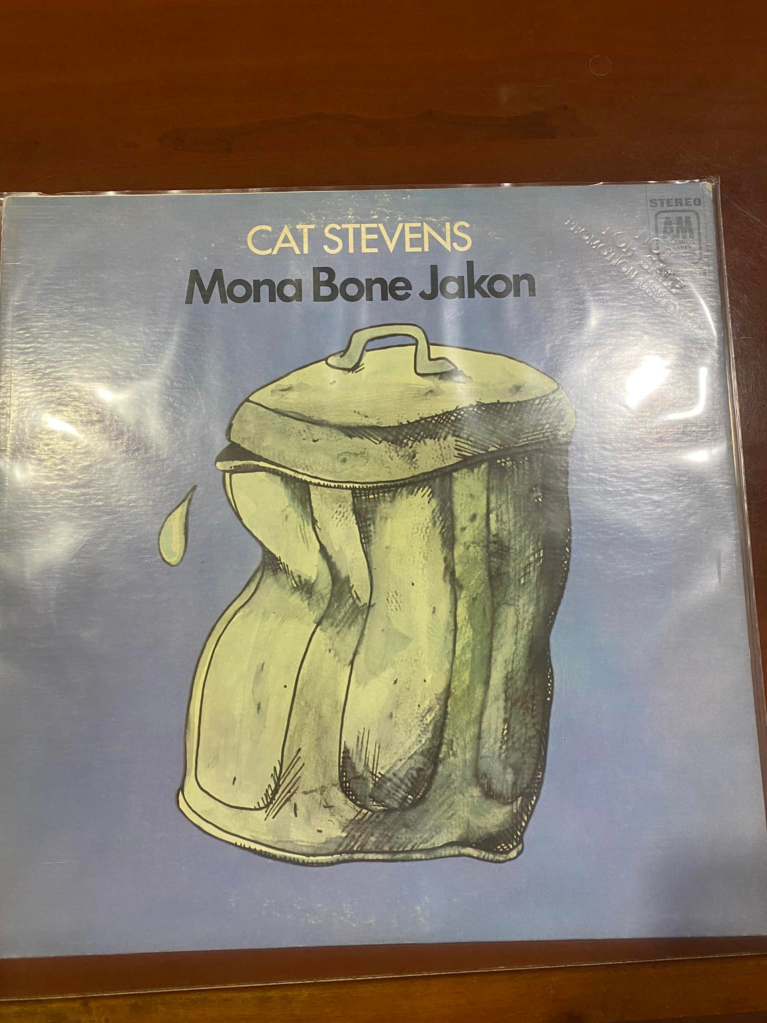 Cat Stevens' Mona Bone Jakon, a healing album