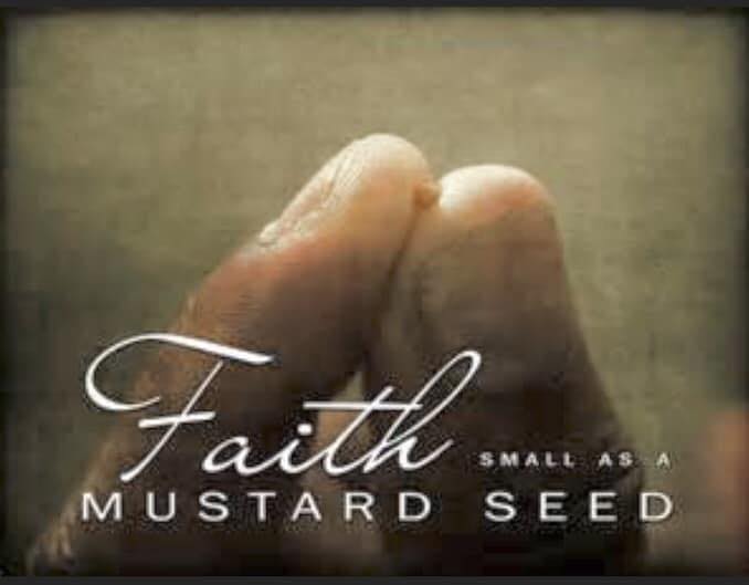 Faith The Size Of A Mustard Seed Ministries | Saint Johns AZ
