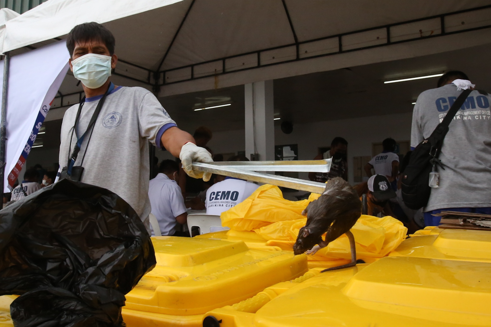 The Manila - OH RATS Marikina City residents join the city government’s ...