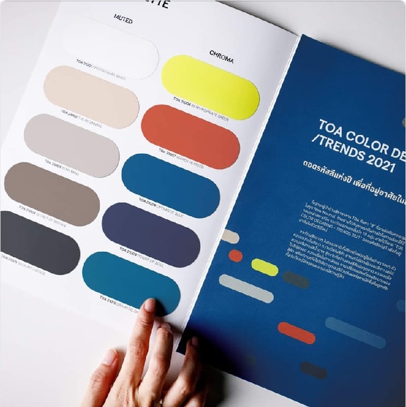 TOA Paint - NEW!! TOA COLOR DECODING/ TRENDS 2021 . TOA... | Facebook