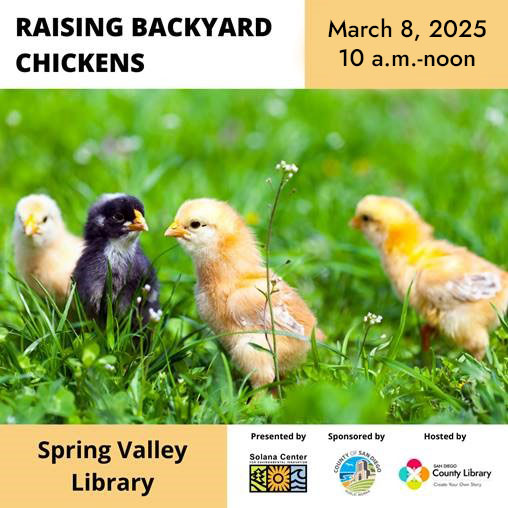 Did you know chickens can... - San Diego County Library | Facebook