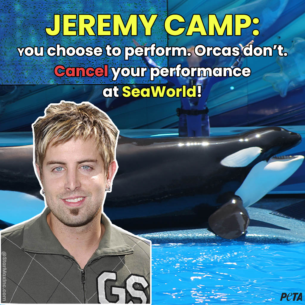 PETA - What do orcas and Jeremy Camp have in common? Neither of them ...