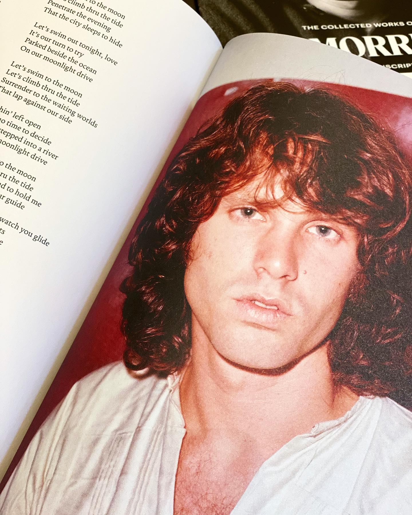 The definitive anthology of Jim... - Rizzoli Bookstore