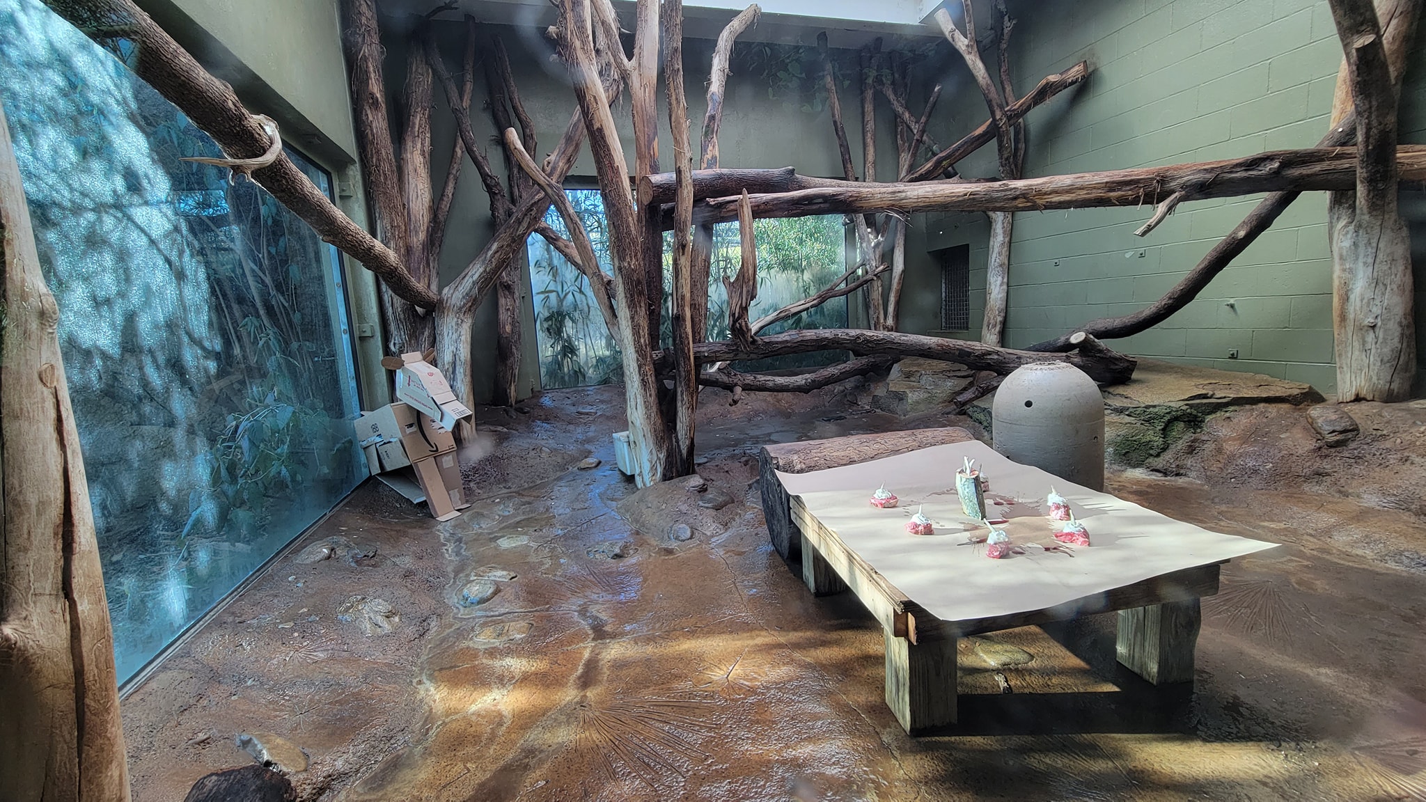 Here are some more... - Mesker Park Zoo & Botanic Garden | Facebook