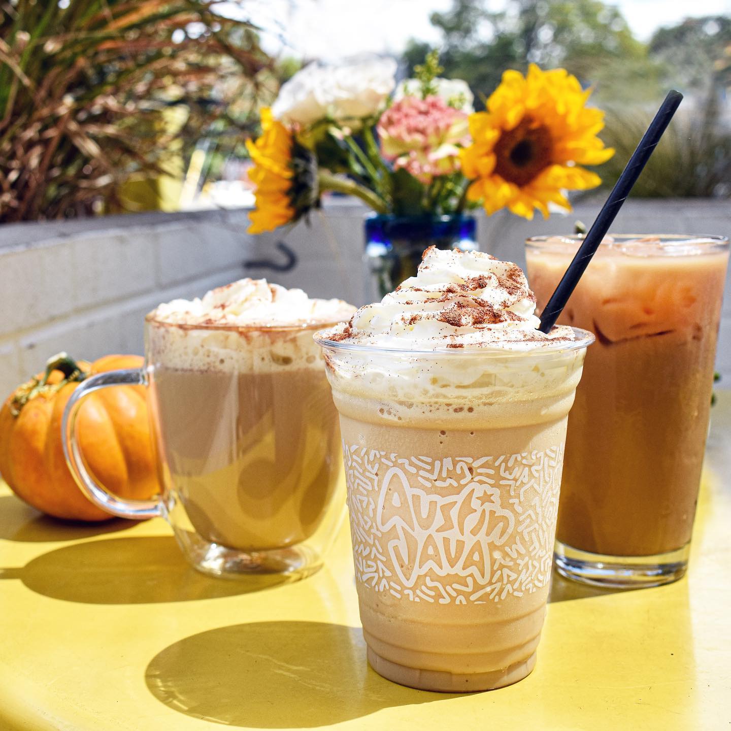 Austin Java - our NEW fall menu has ARRIVED | Facebook