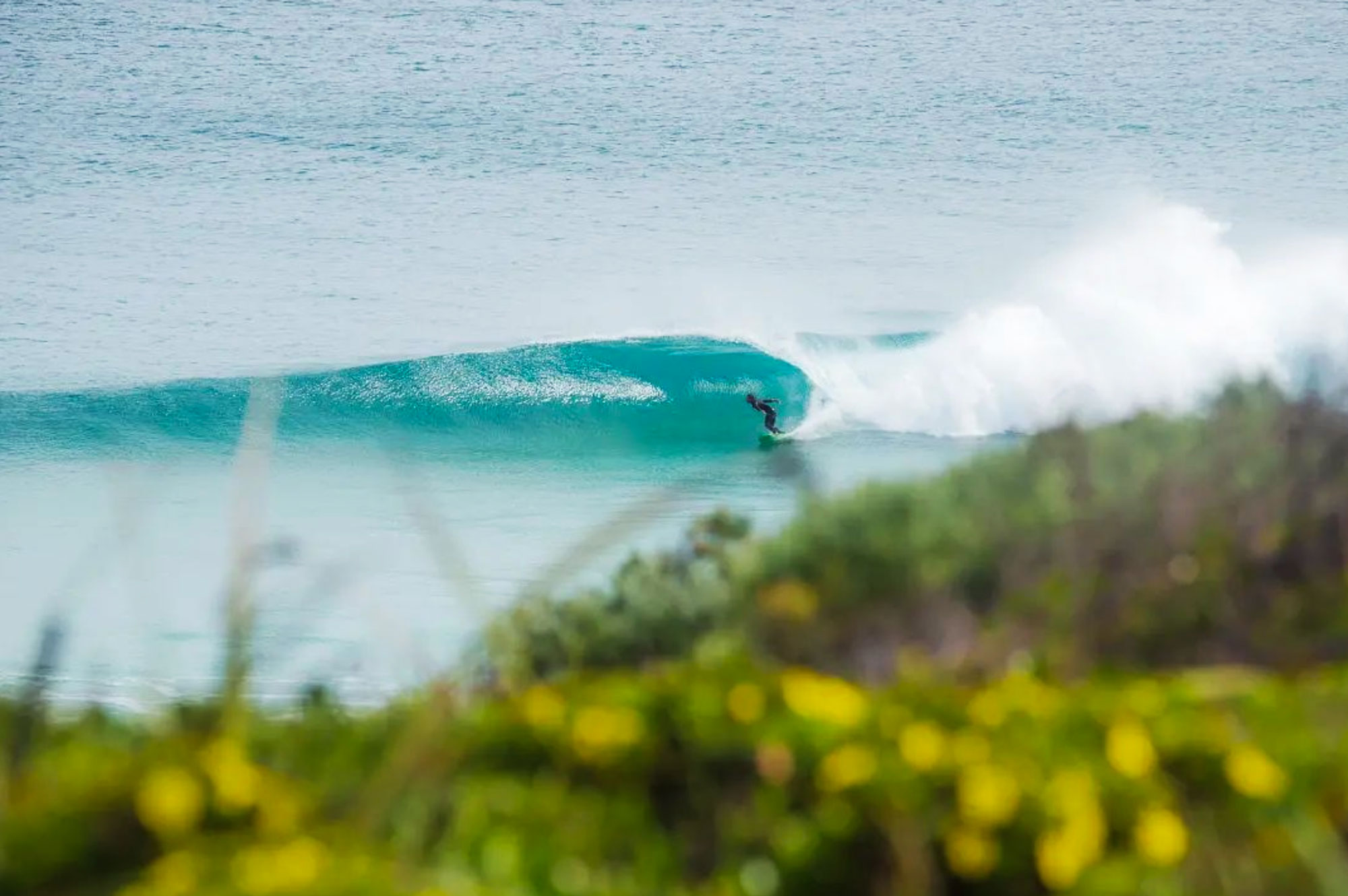 CARVE - A fun day to swoop in on your favourite fun wave, on your ...