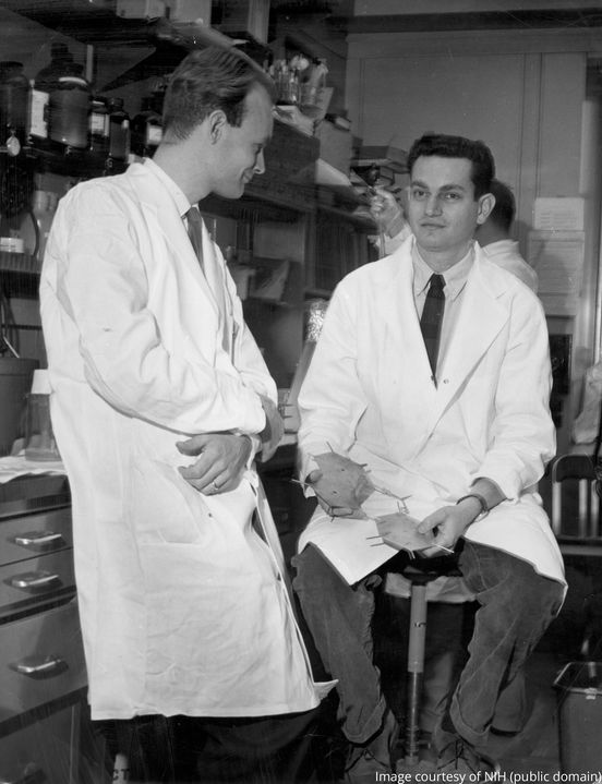 Nobel Prize - The first letter of the genetic code was cracked #