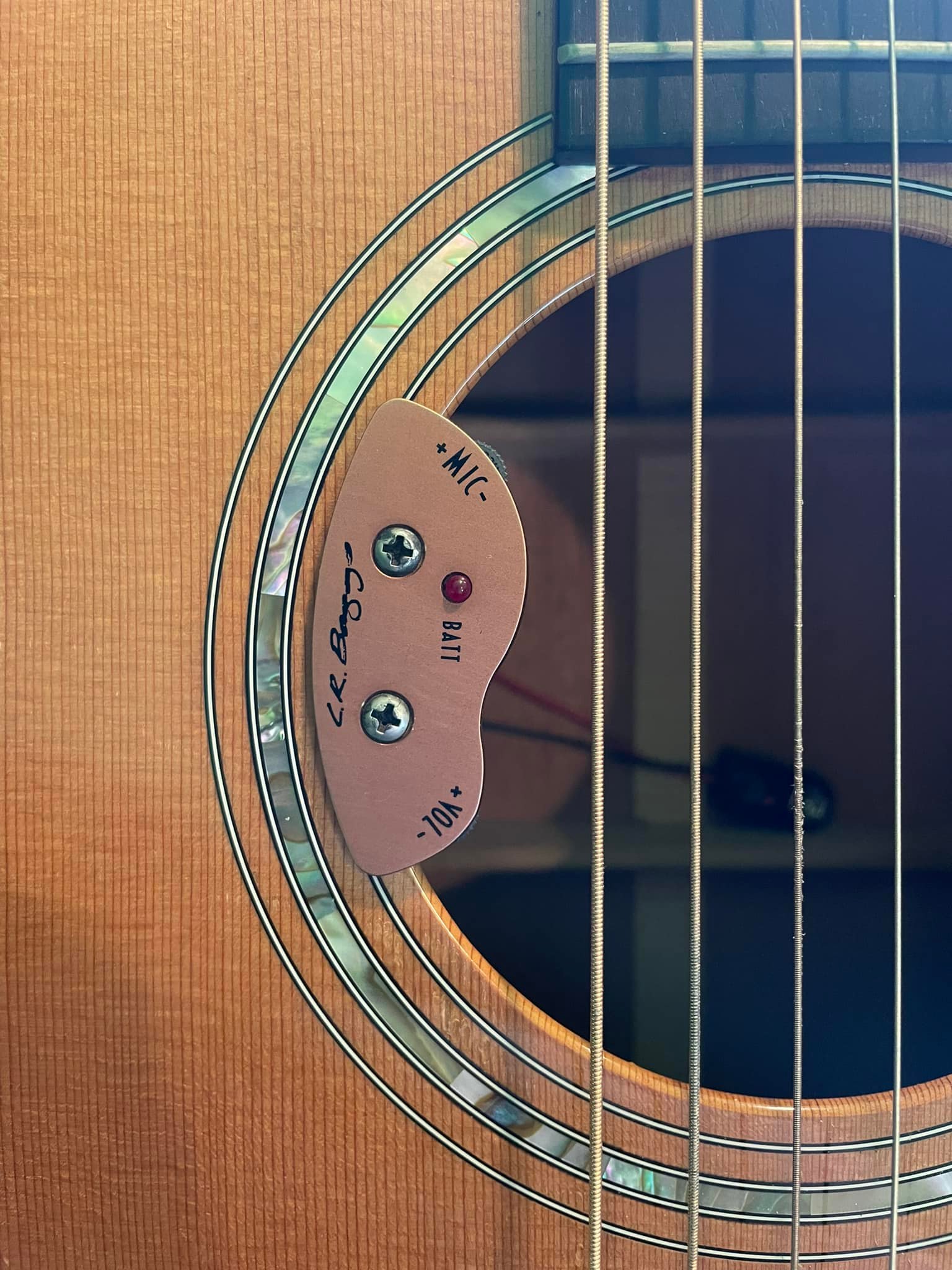 What is the LR Baggs pickup in a Taylor 514 guitar?