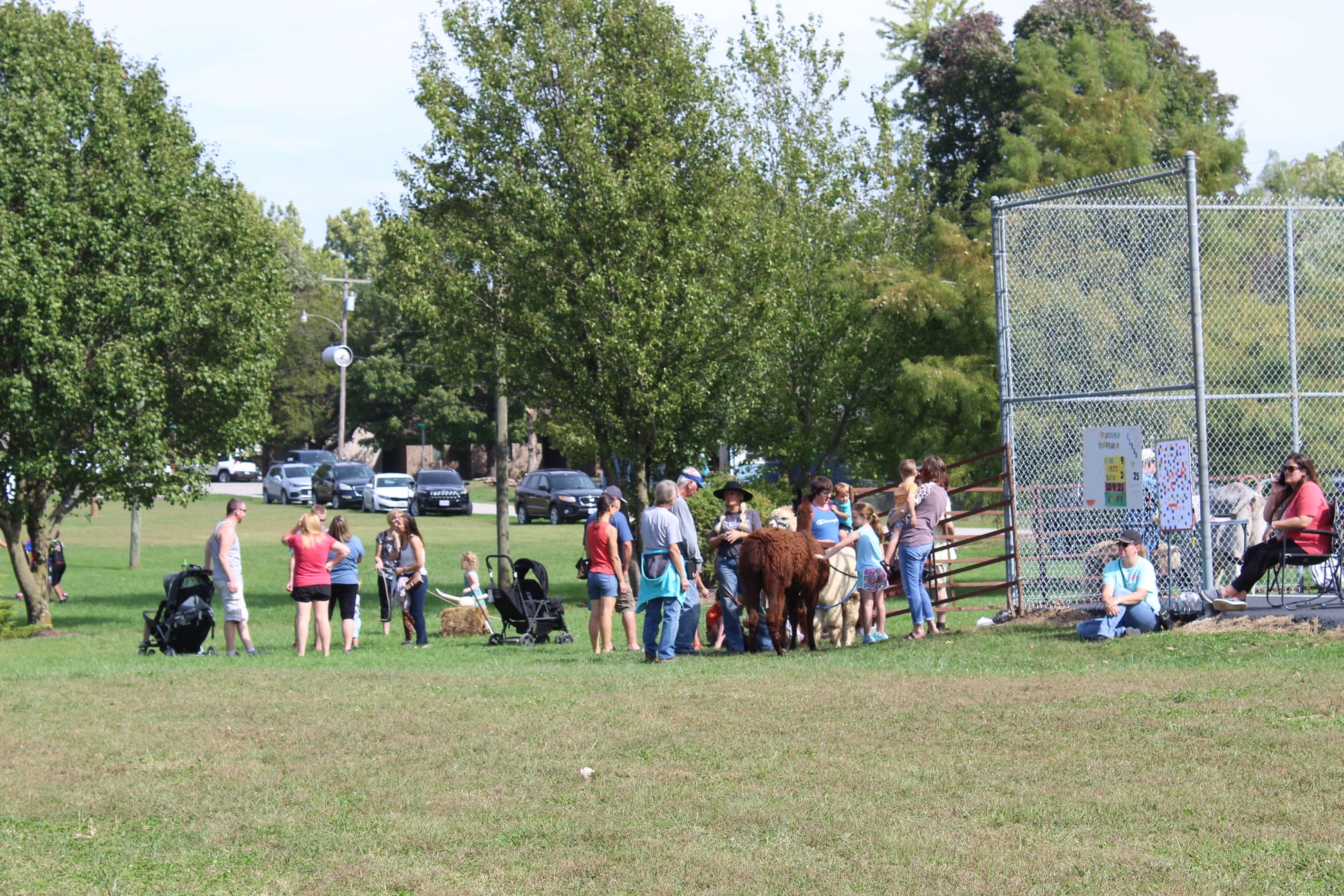 CreedsTown Ranch | Fordland MO
