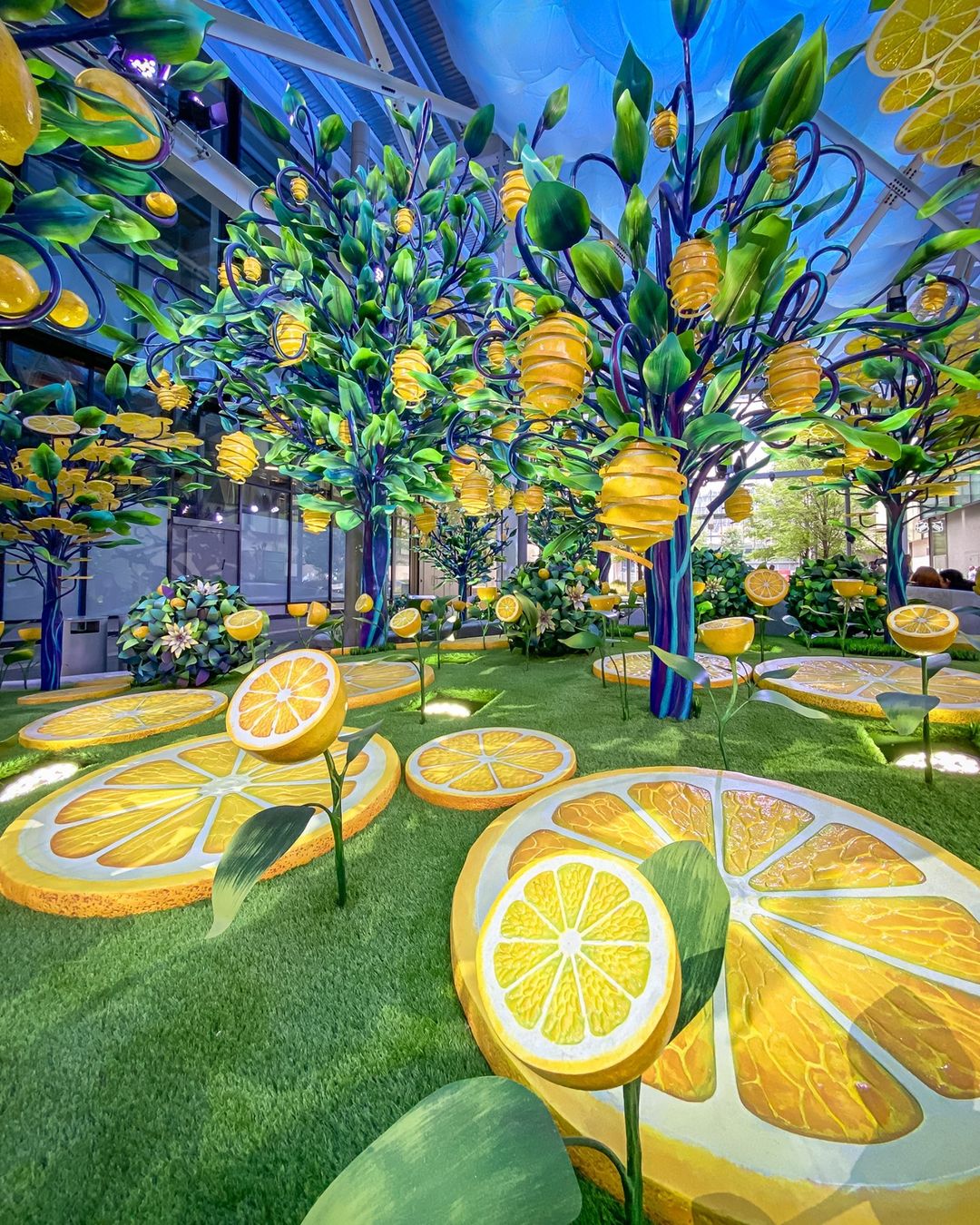 I LOVE - Whether you're among 700 lemons at Citrovia, a sea of
