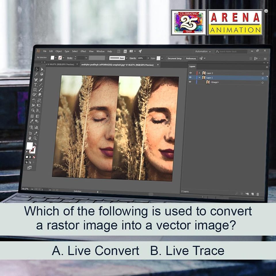 Arena Animation - Raster images are made of pixels, or... | Facebook