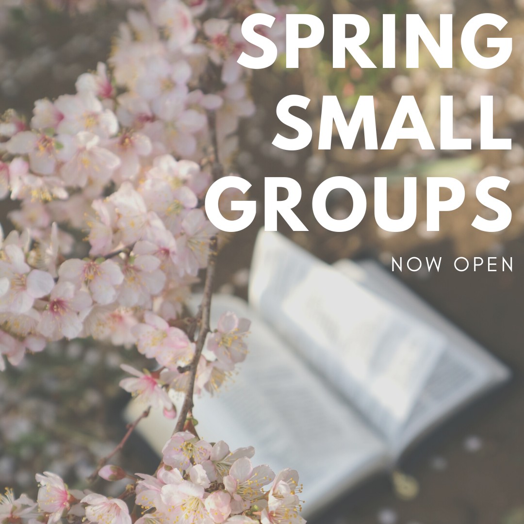Our Spring Small Group Bible Studies... - Classic City Church | Facebook
