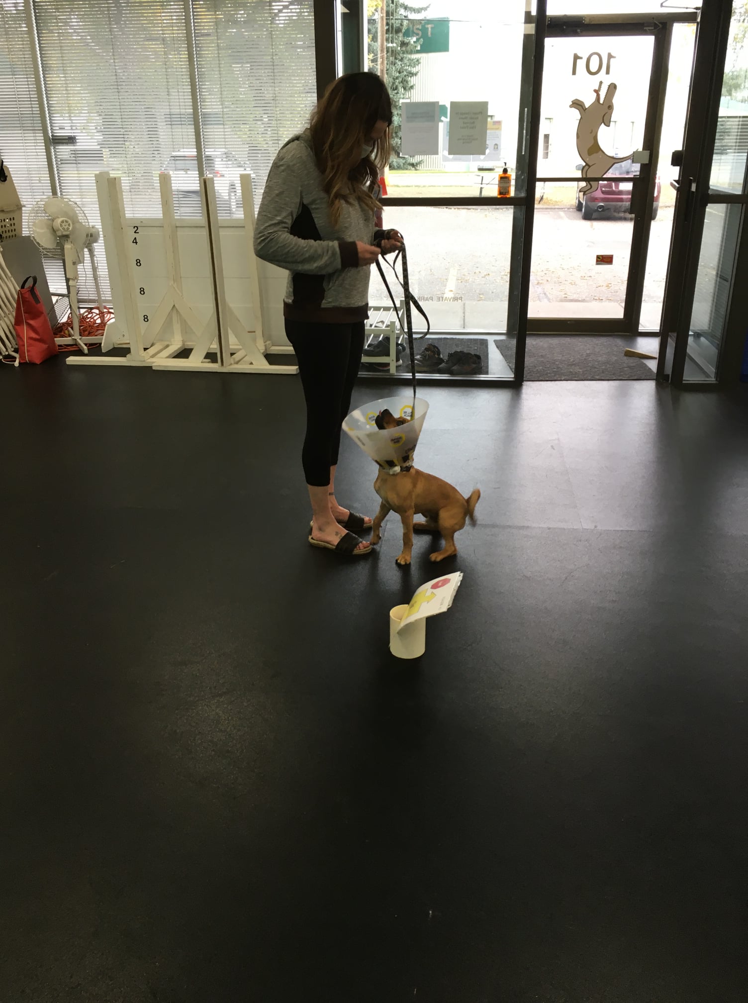 Hyper Hounds Dog Training... - Hyper Hounds Dog Training