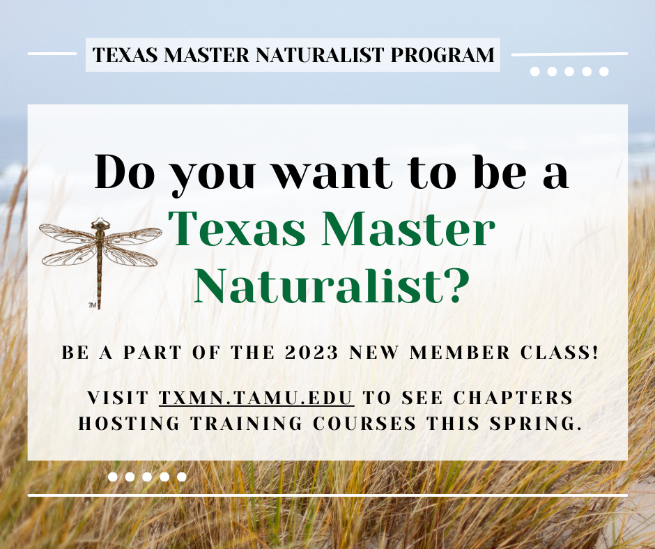 Texas Master Naturalist Program - Our chapters across the state are ...