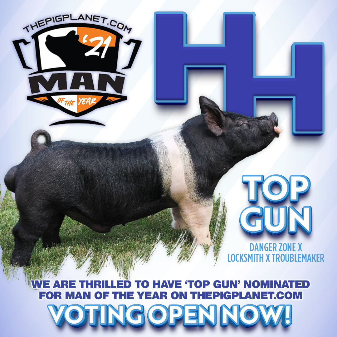 We are honored that TOP GUN is representing the Hampshire breed