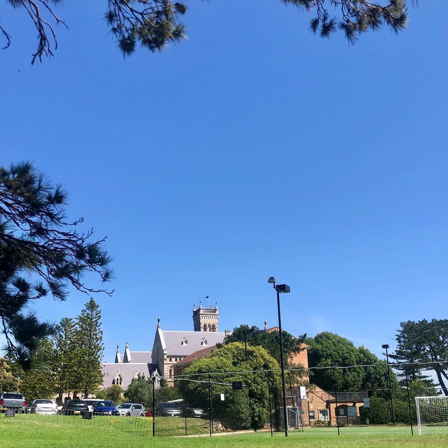 The... - International College of Management, Sydney (ICMS)
