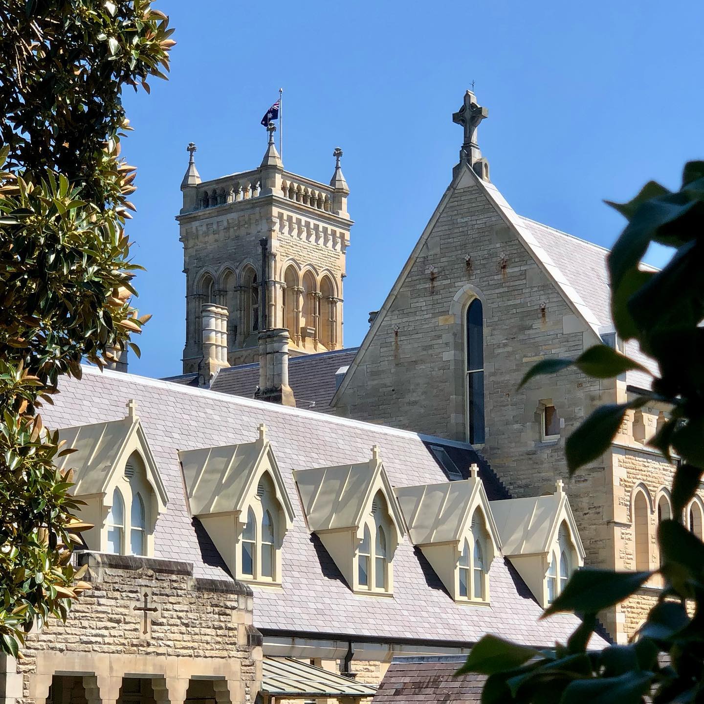 The... - International College of Management, Sydney (ICMS)