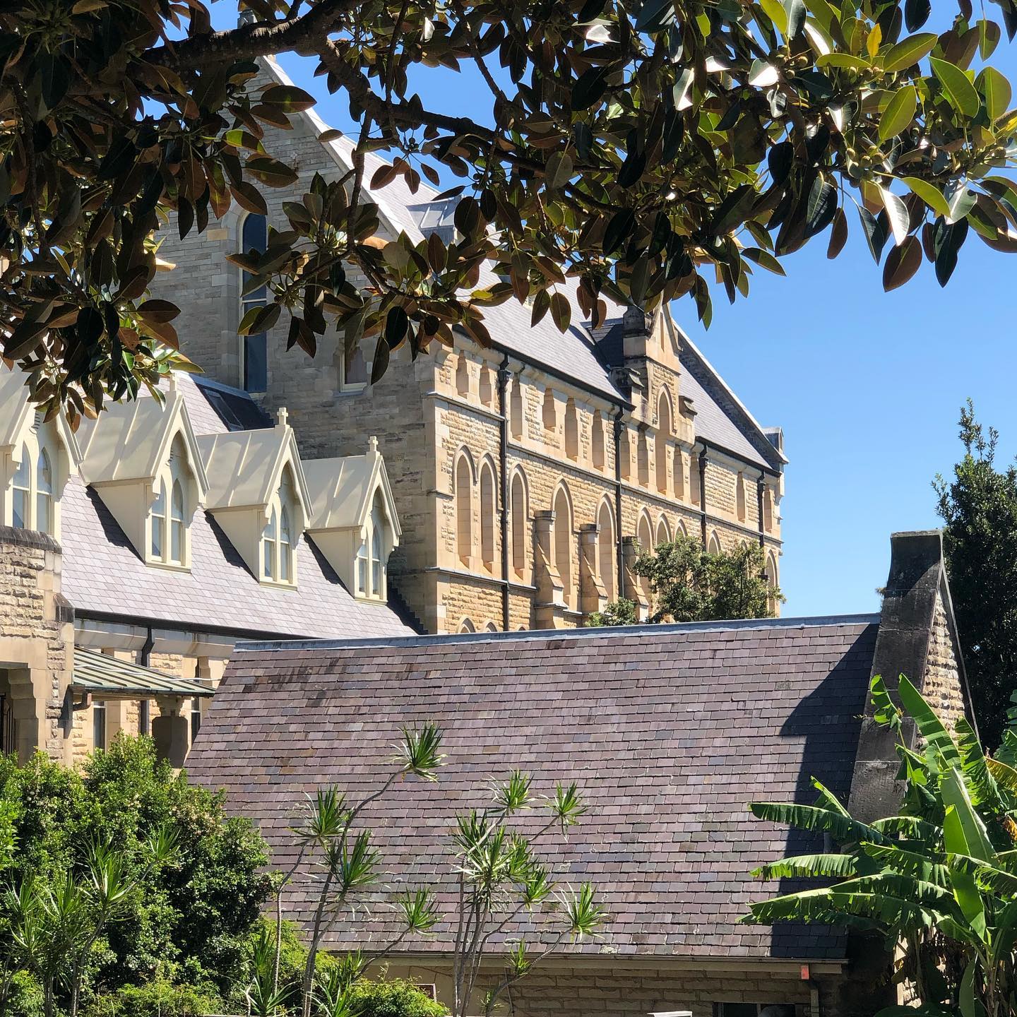 The... - International College of Management, Sydney (ICMS)