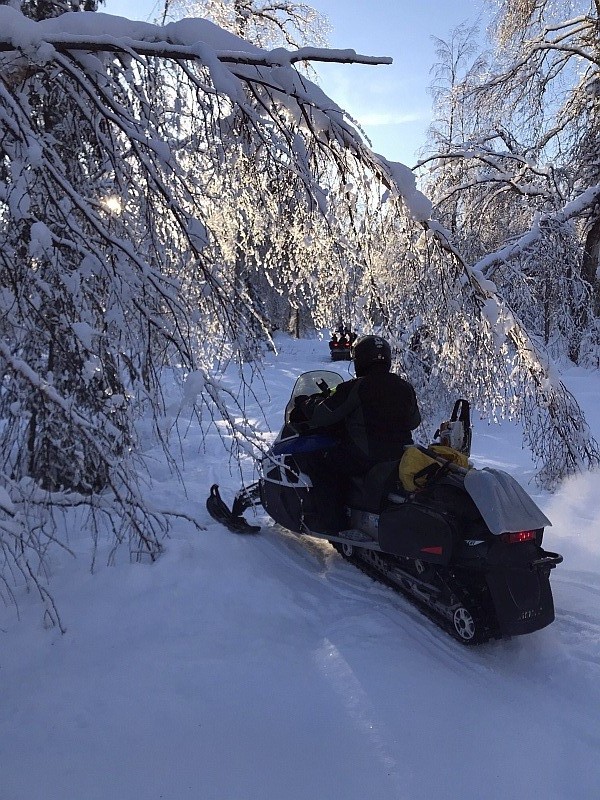 Curry Ridge Riders, Friends of Denali State Park | Trapper Creek AK