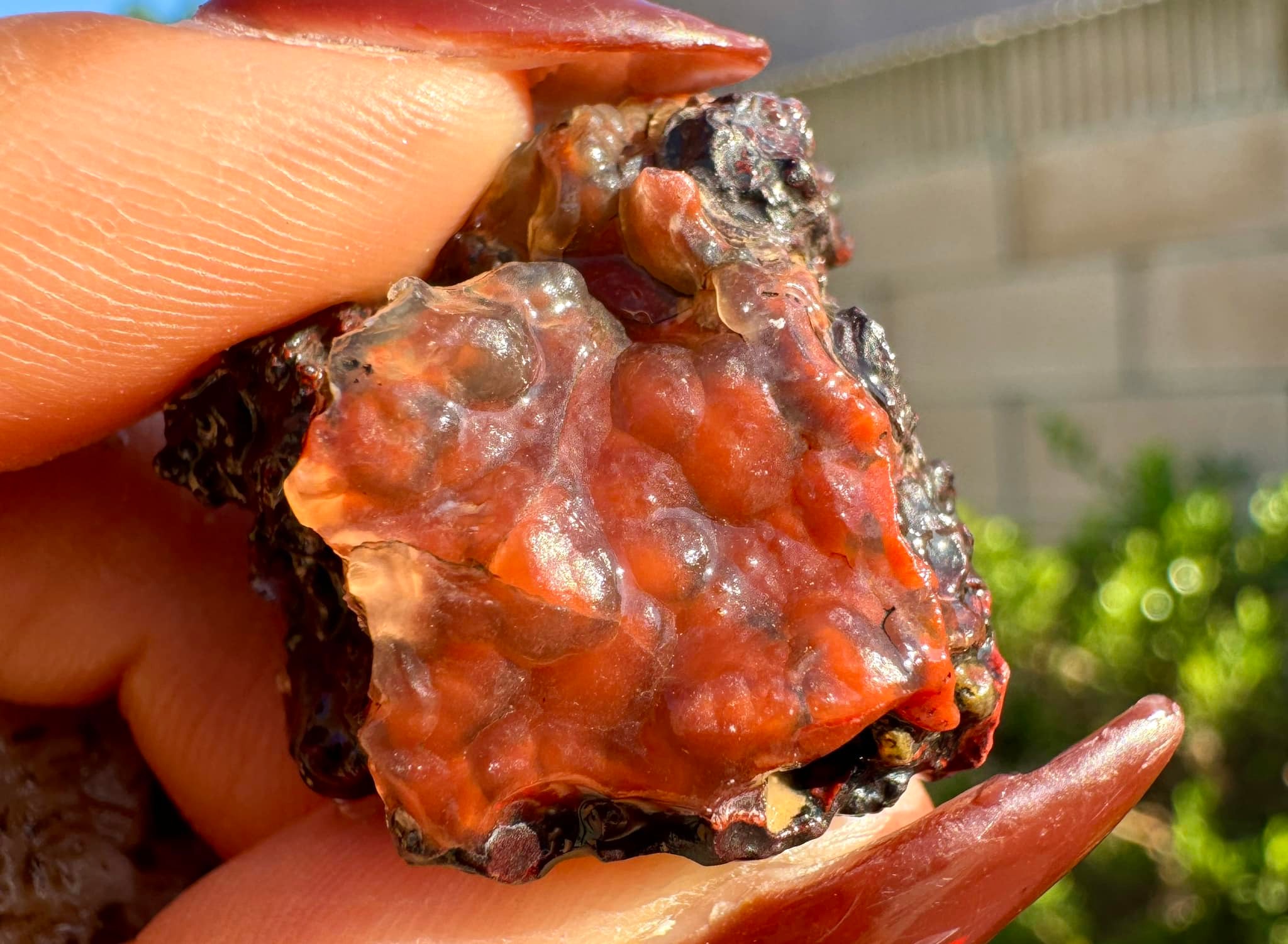 Interesting patterns and jasper found on Lavic Road