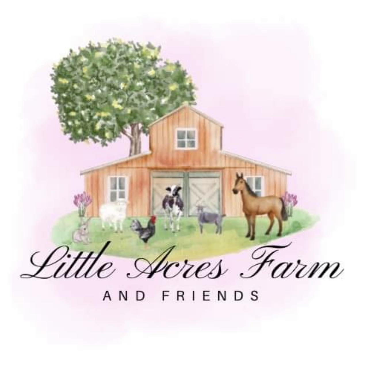 Little Acres Traveling Petting Zoo | Facebook