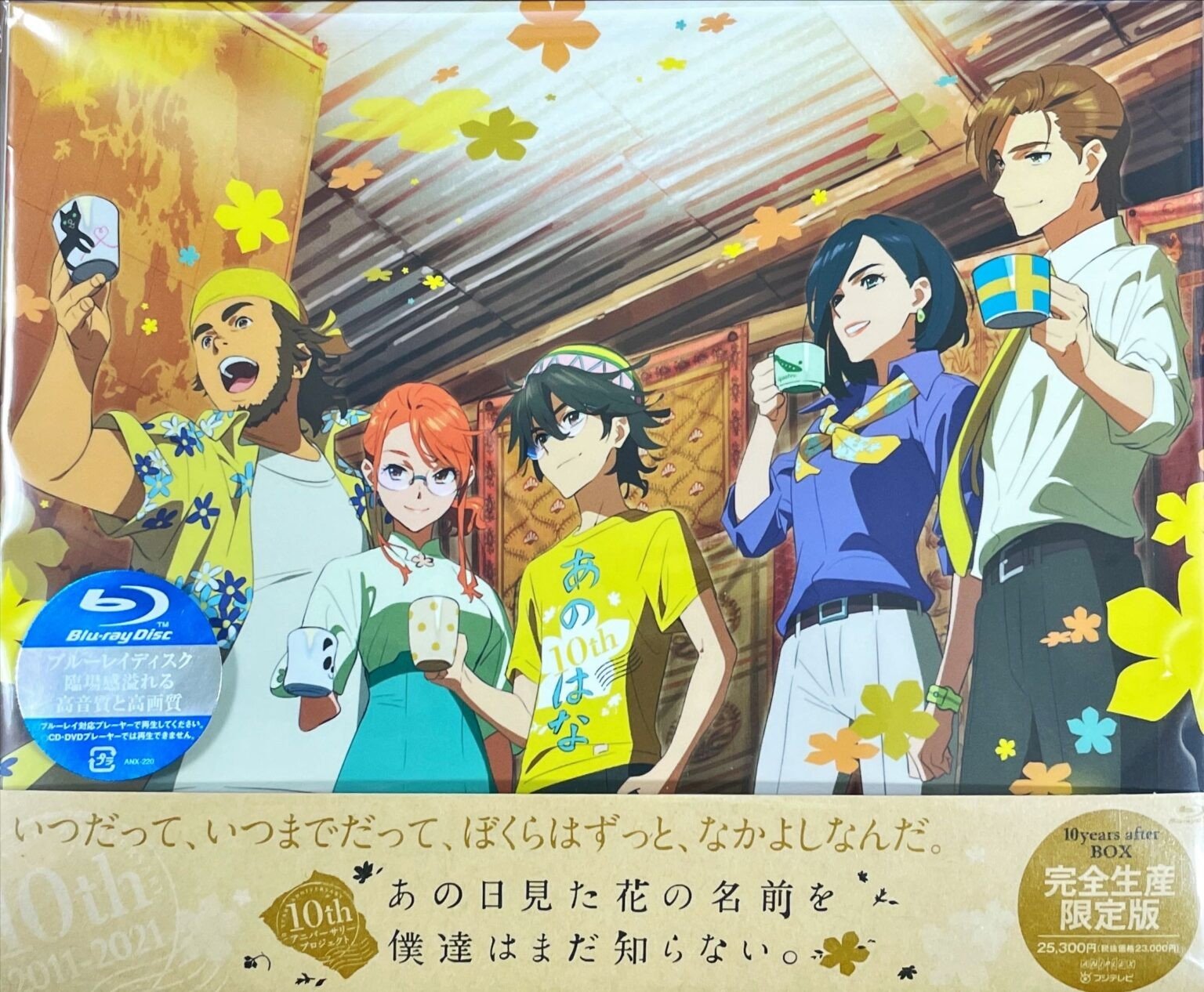 10th anniversary edition of favourite anime film on DVD