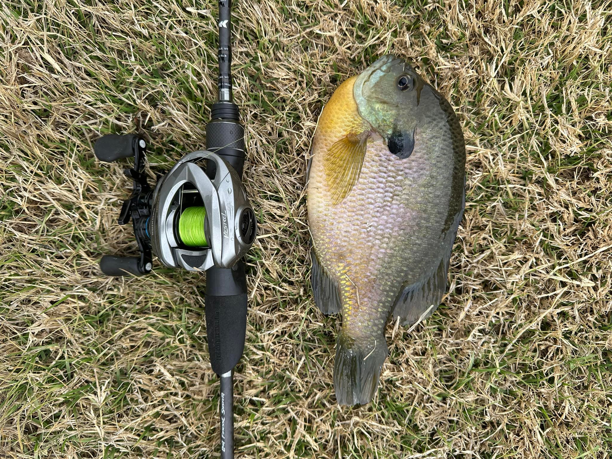 shakespeare ugly stik bigwater trolling combo Conventional Rod Color:RED BUG Brand_Okuma A graphite and fiberglass VINTAGE SHAKESPEARE DURANGO Panfish