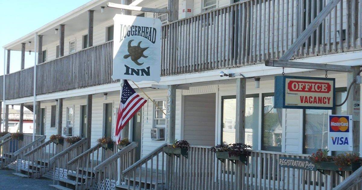 Flashback Friday! 🐢💙... - Loggerhead Inn and Suites | Facebook