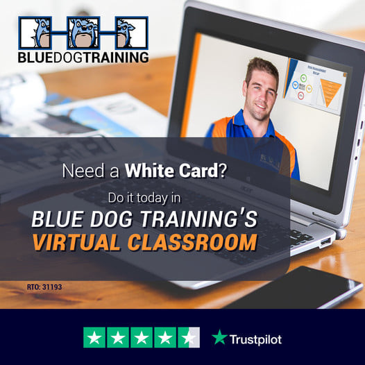 Blue Dog Training - RTO 31193 - Complete your training with Australia’s ...