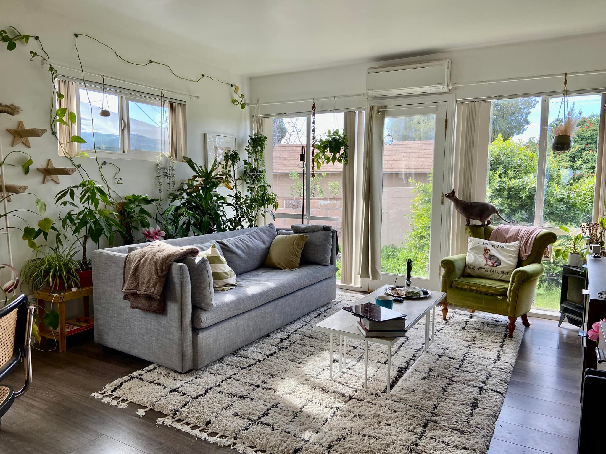 Living room turned into a garden halfway through