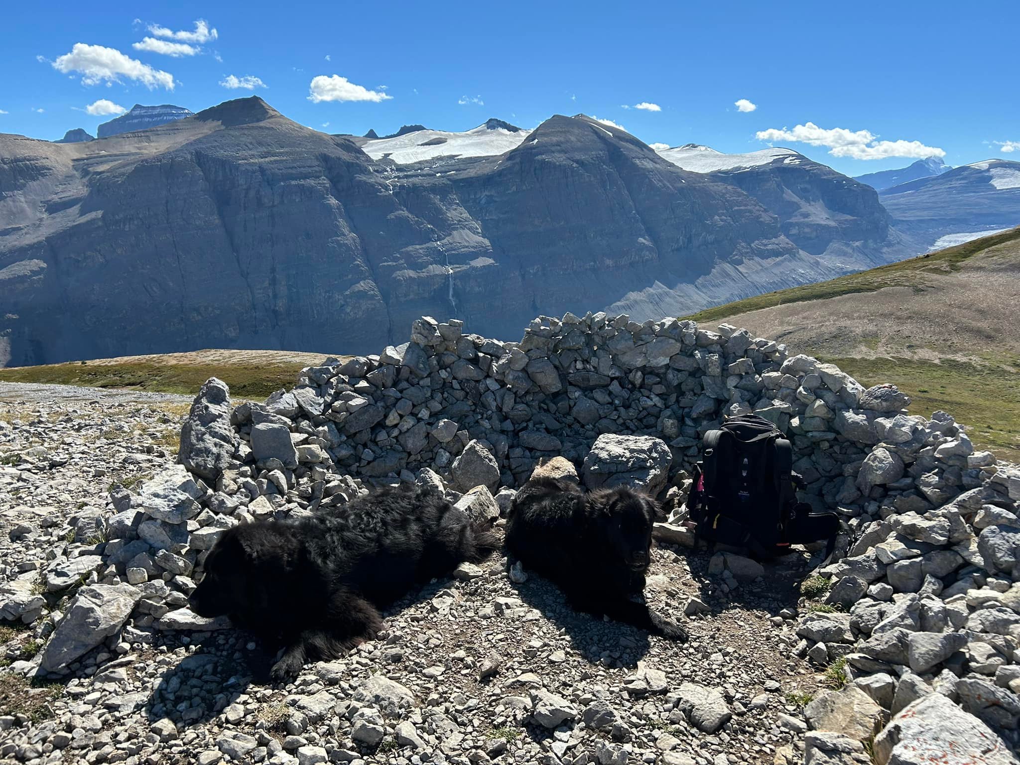 Hiking with dogs in Alberta
