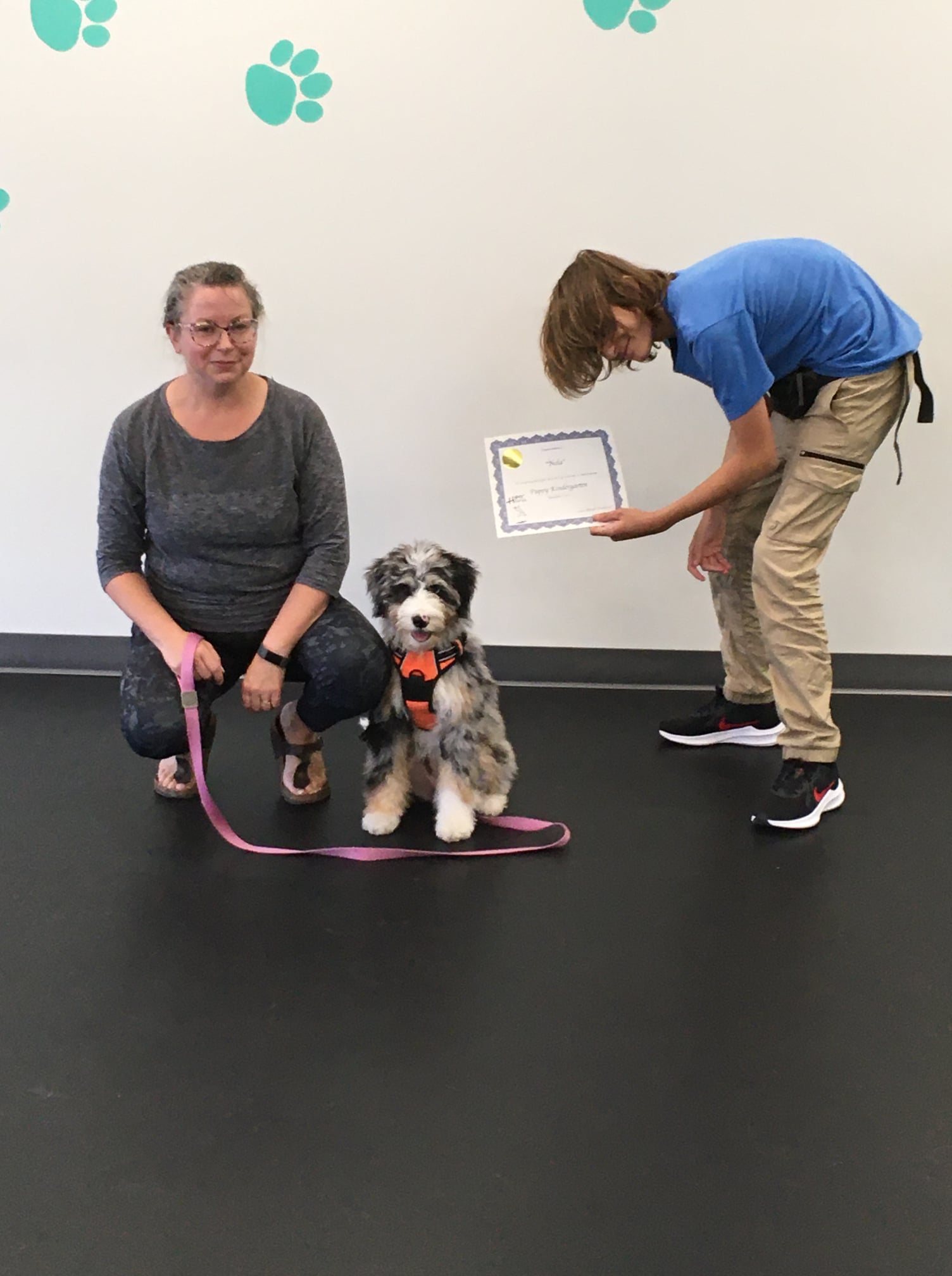 The lost photos have been... - Hyper Hounds Dog Training