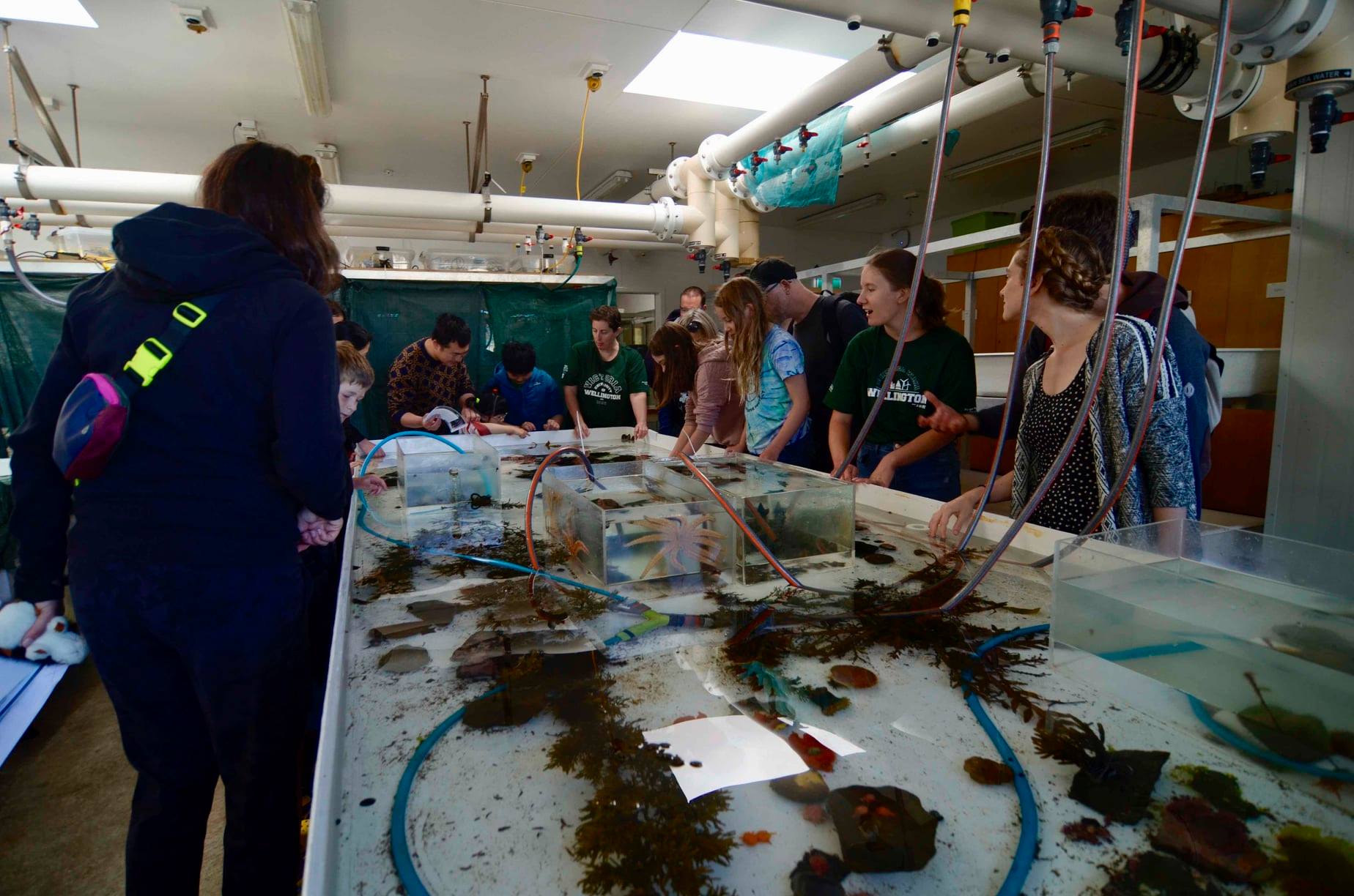 Wellington... - Wellington University Coastal Ecology Lab