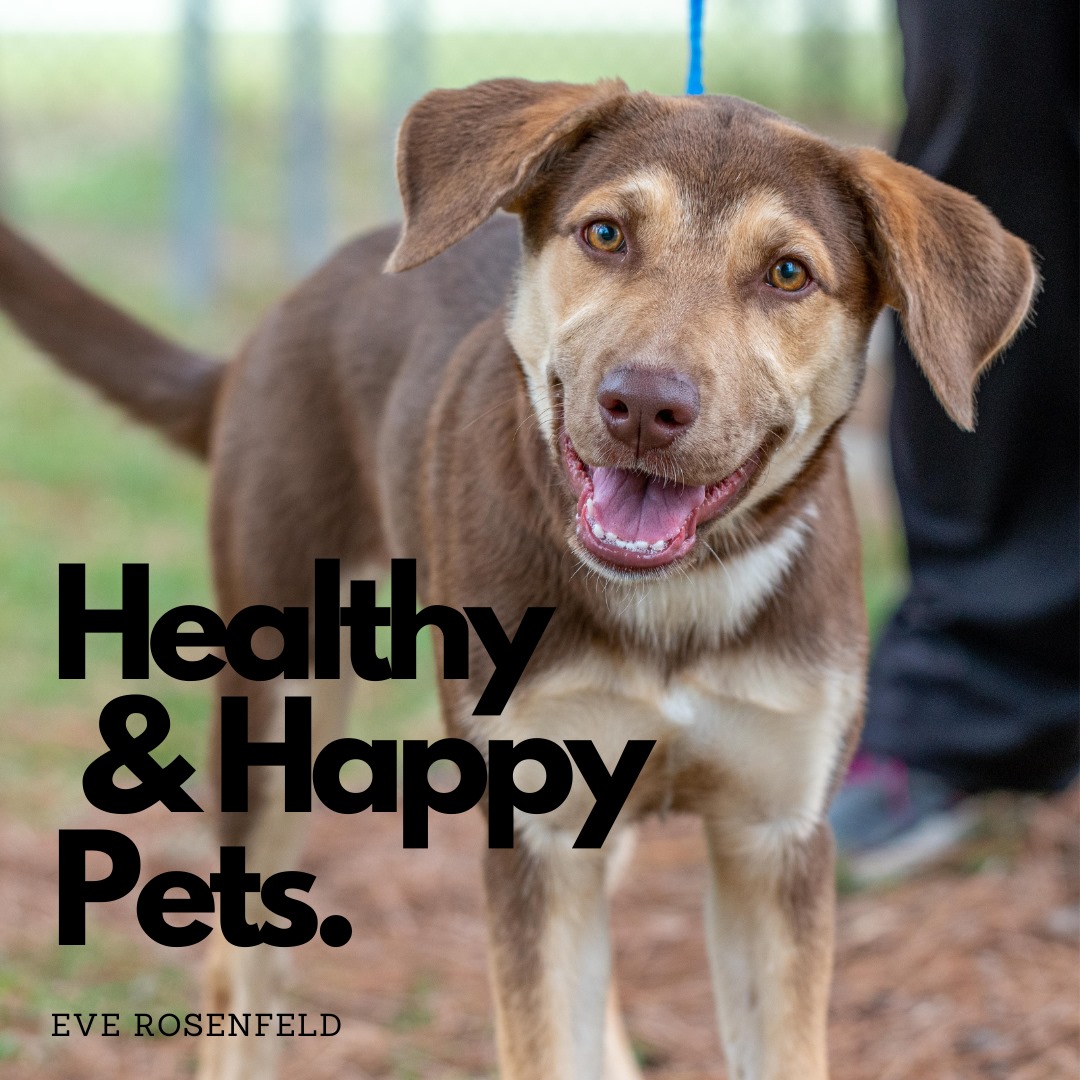 Congratulations to Eve... - Citizens for Animal Protection
