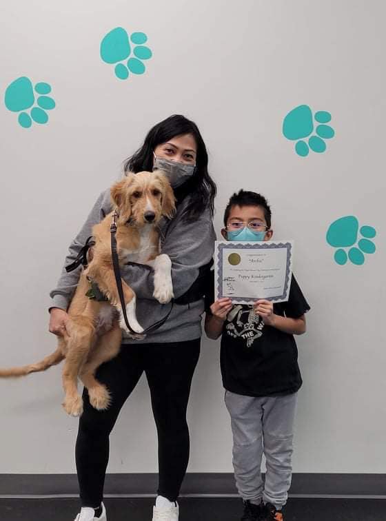 Congratulations to Rosie,... - Hyper Hounds Dog Training | Facebook